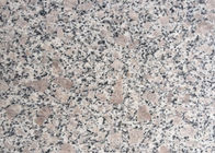 GranitE G383 सामग्री Bianco Antico ग्रेनाइट स्लैब ग्रे फूल मोती रंग